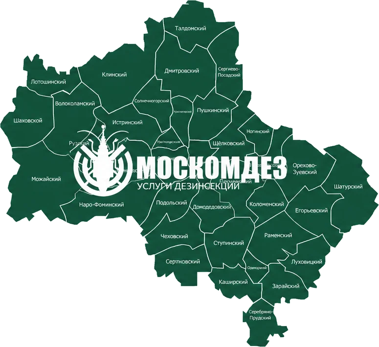 Карта выезда: Клин и Московская область
